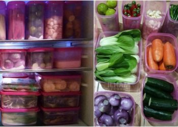 Tips Simpan Stok Lauk & Sayur Di Dalam Peti Ais